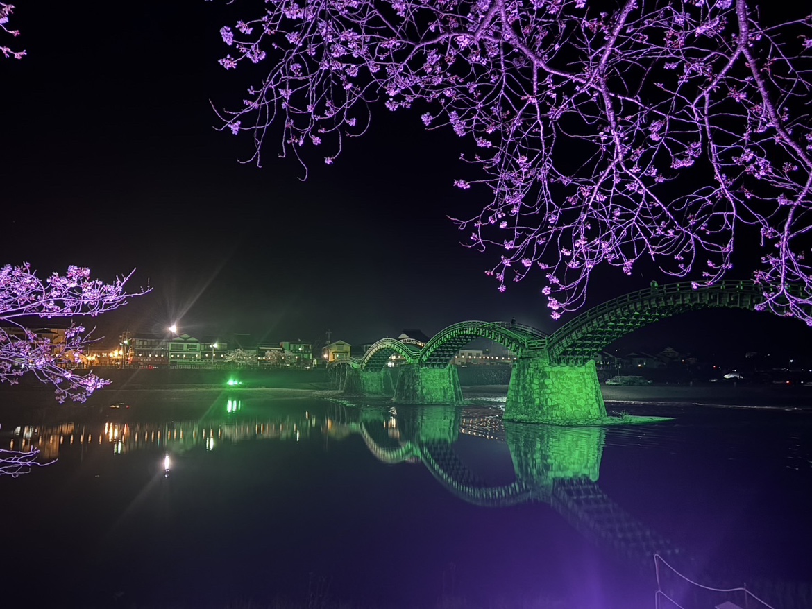 錦帯橋の夜桜