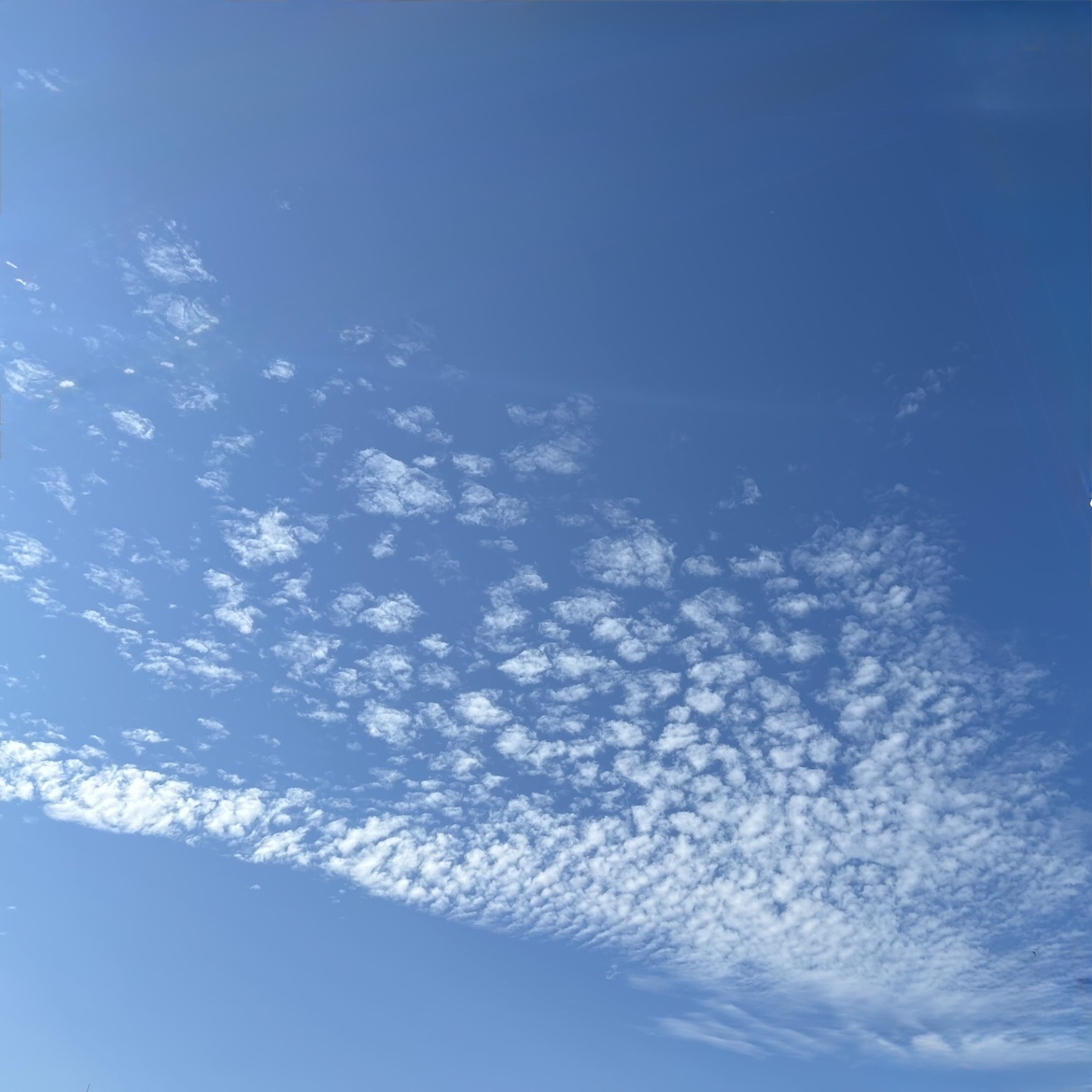 空
