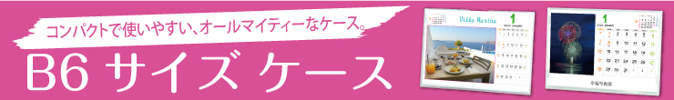 コンパクトで使いやすい、オールマイティなケース。B6サイズケース