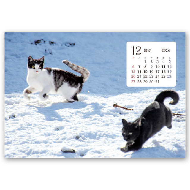 卓上猫さんぽ〔ワイド〕｜大広カレンダー