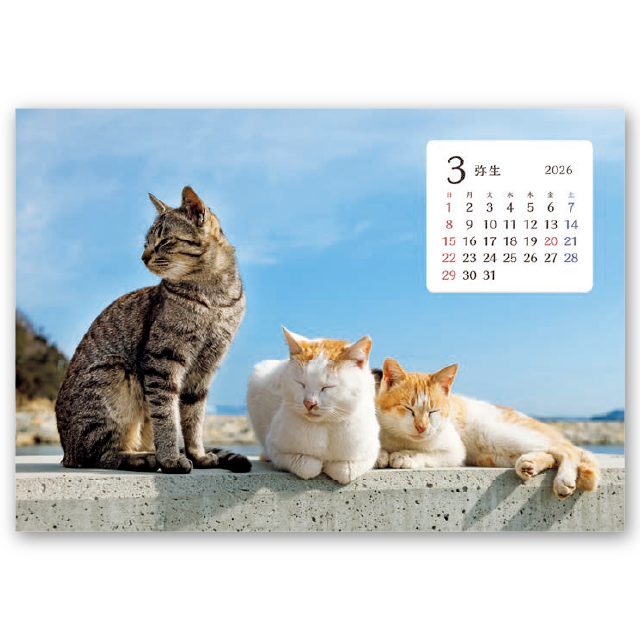 卓上猫さんぽ〔ワイド〕｜大広カレンダー
