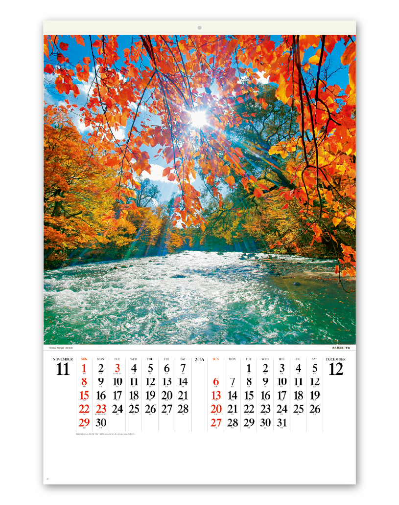 ﾌｨﾙﾑ 輝く太陽｜大広カレンダー