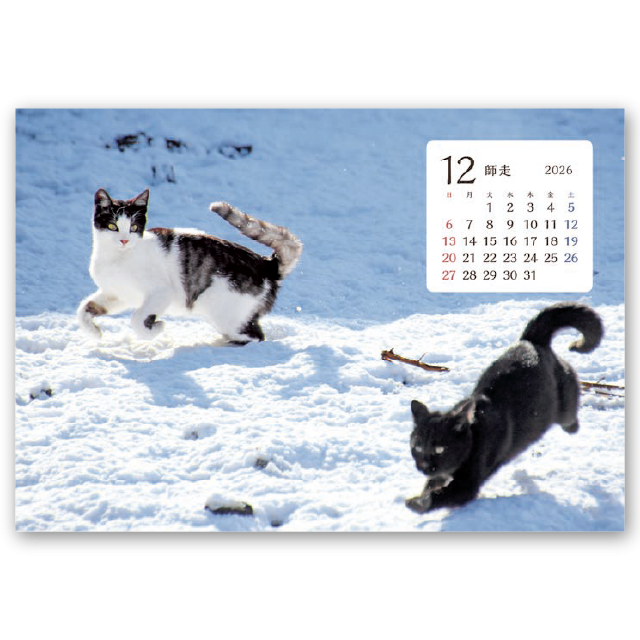卓上猫さんぽ〔ワイド〕｜大広カレンダー
