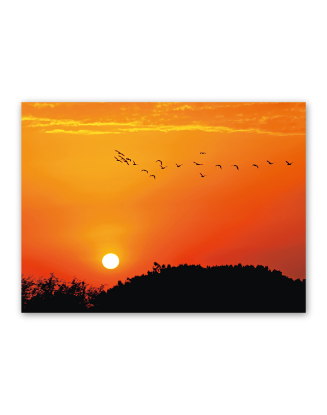 夕焼け空 画像 この画像を無料でダウンロード