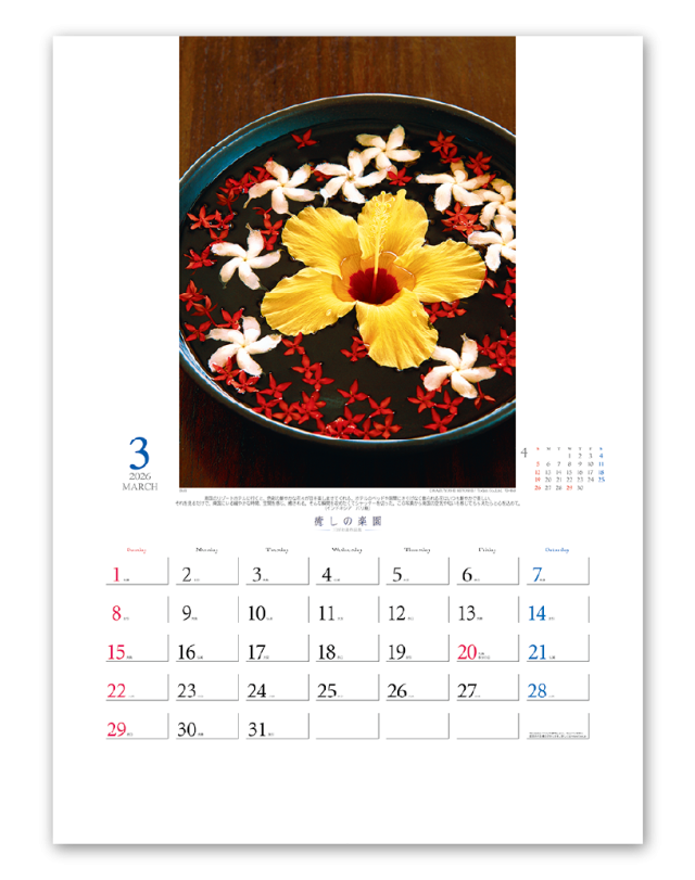 癒しの楽園 三好和義作品集 企業様用オリジナル 名入れカレンダーの制作 卸 販売 大広