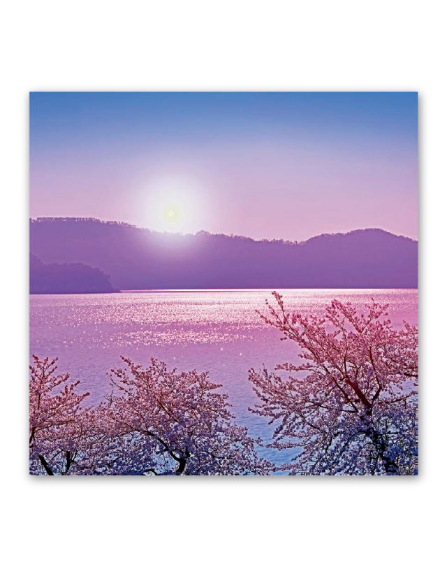 ﾌｨﾙﾑ 輝く太陽｜大広カレンダー