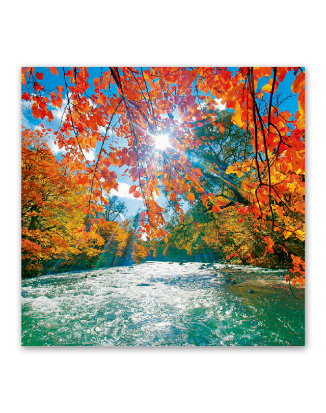 ﾌｨﾙﾑ 輝く太陽｜大広カレンダー