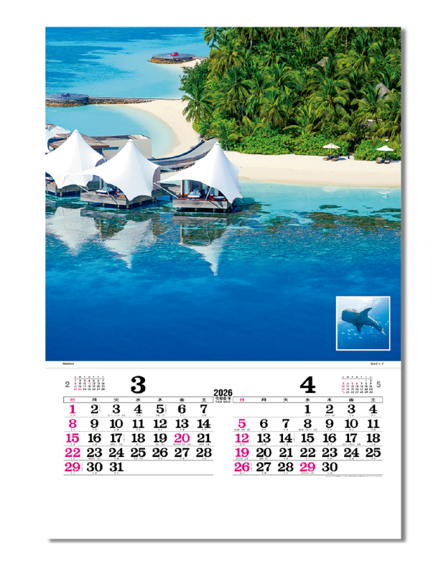 蒼の海ページ ﾌｨﾙﾑ トーハン・DX マリンブルー｜大広カレンダー