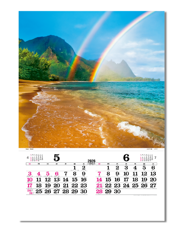 ﾌｨﾙﾑ トーハン・DX マリンブルー｜大広カレンダー