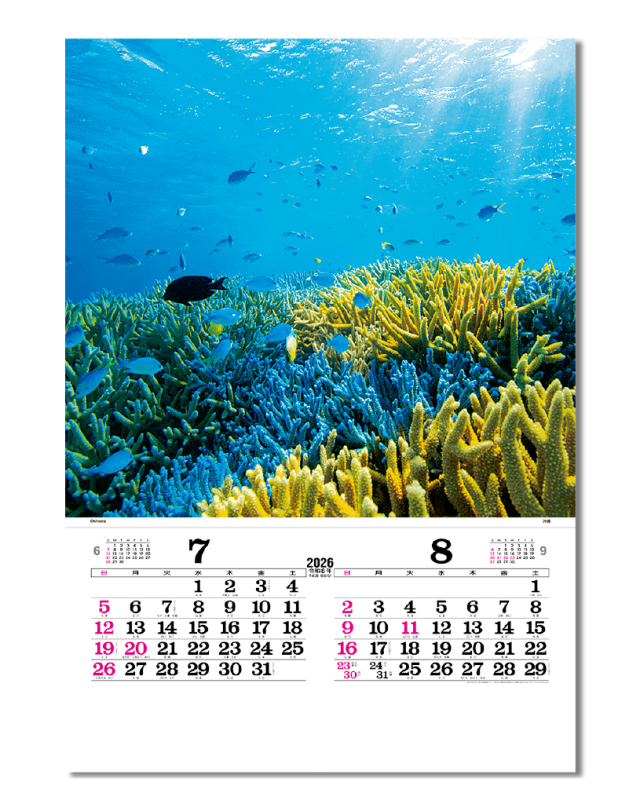 ﾌｨﾙﾑ トーハン・DX マリンブルー｜大広カレンダー