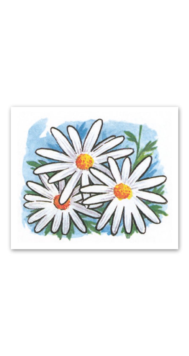 日本の風土記 企業様用オリジナル 名入れカレンダーの制作 卸 販売 大広 日本の風土記 企業様用オリジナル 名入れカレンダーの制作 卸 販売 大広